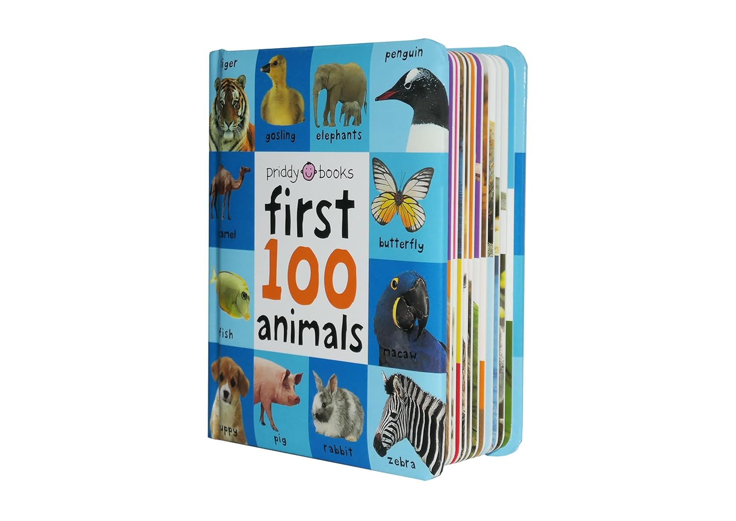 First 100 Animals Book